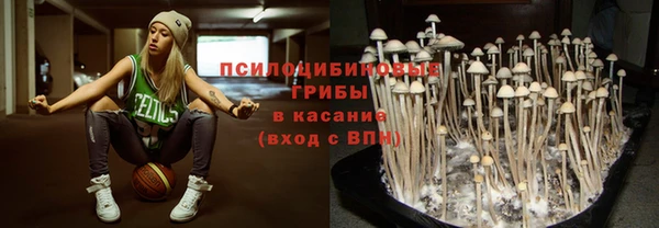 сатива Богородицк