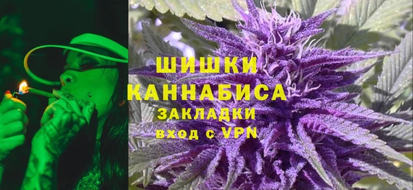 сатива Богородицк