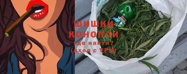 сатива Богородицк